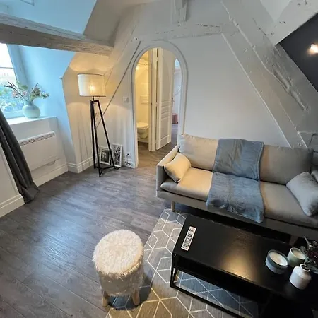 Apartment Avec Terrasse En Plein Coeur De *